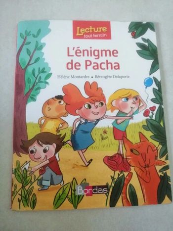 Livre Cp l'énigme de Pacha