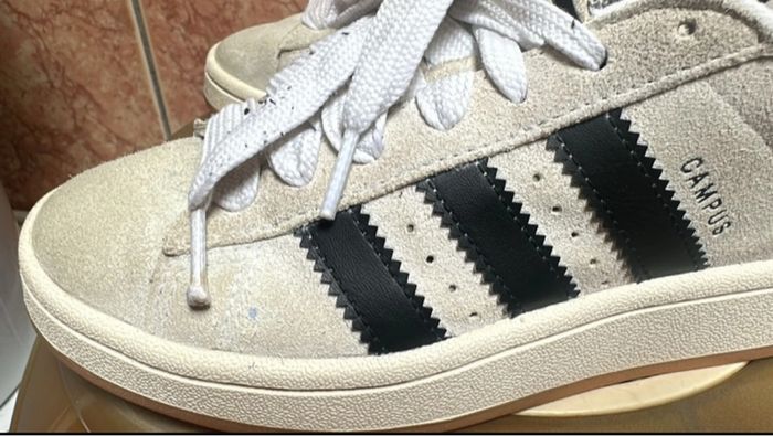 Basket campus - photo numéro 4