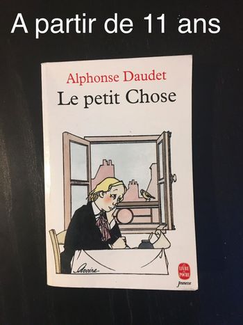 Livre jeunesse - le petit chose
