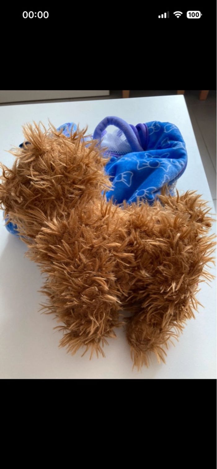 Petit chien modèle décoiffé et son panier/sac de transport - photo numéro 7