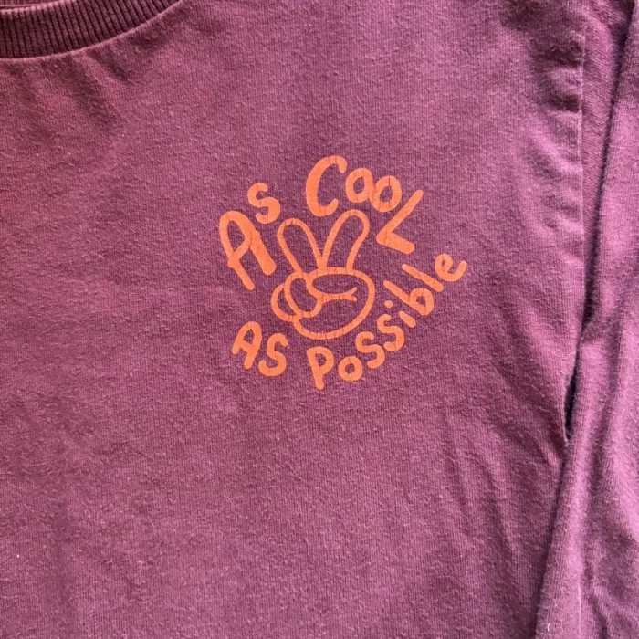 Ensemble gilet tee shirt manche longue garçon 4ans vertbaudet - photo numéro 6