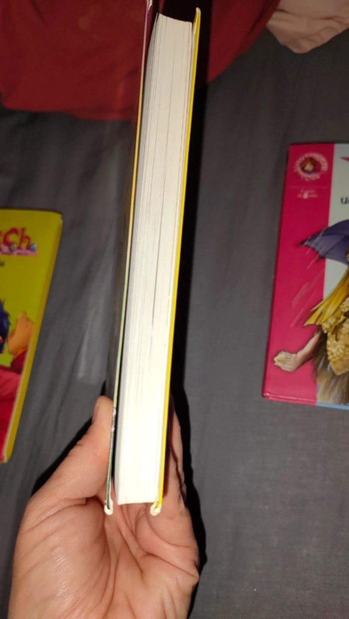 Lot 3 livres witch - photo numéro 6
