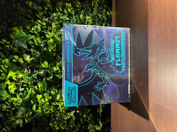 ✨ Coffret dresseur d'élite méga-évolution - flammes fantasmagoriques ✨