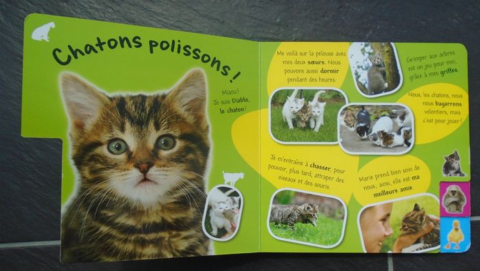 Joli livre "les bébés animaux" - photo numéro 4