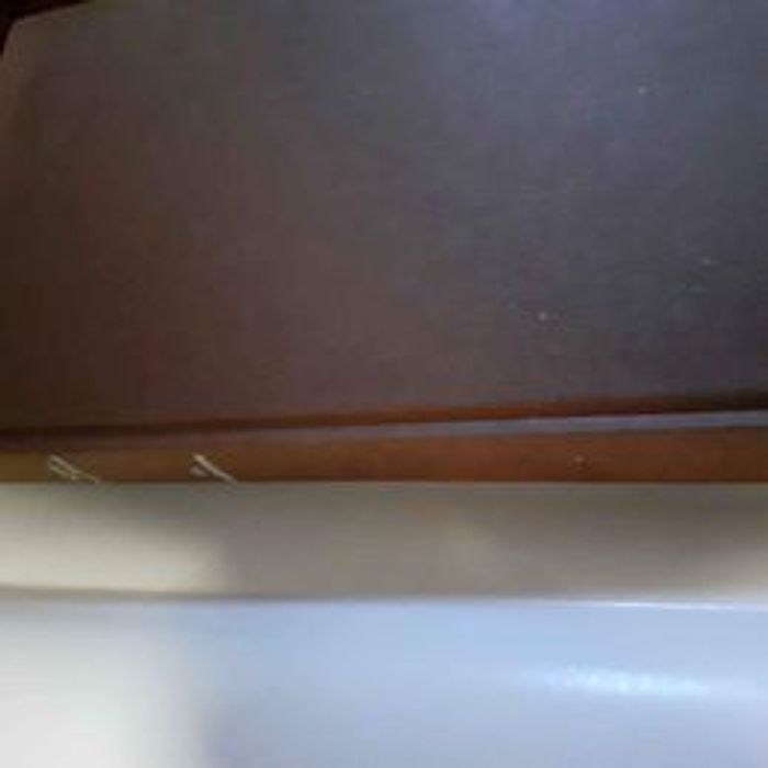 La virginienne de Barbara Chase-Riboud - photo numéro 5