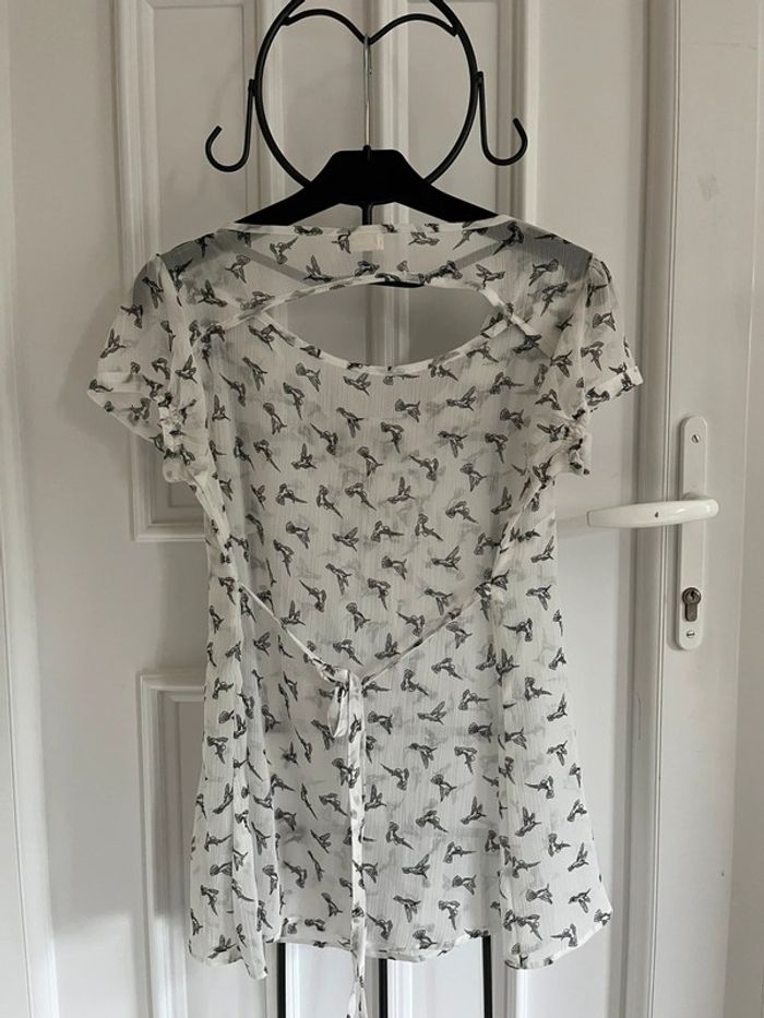 Haut DDP - photo numéro 3