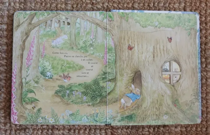 Cours vite, Pierre lapin! (2018) adapté des contes de Beatrix Potter - photo numéro 7