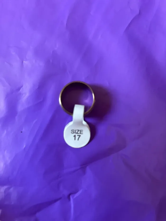 Bagues 17 - photo numéro 2