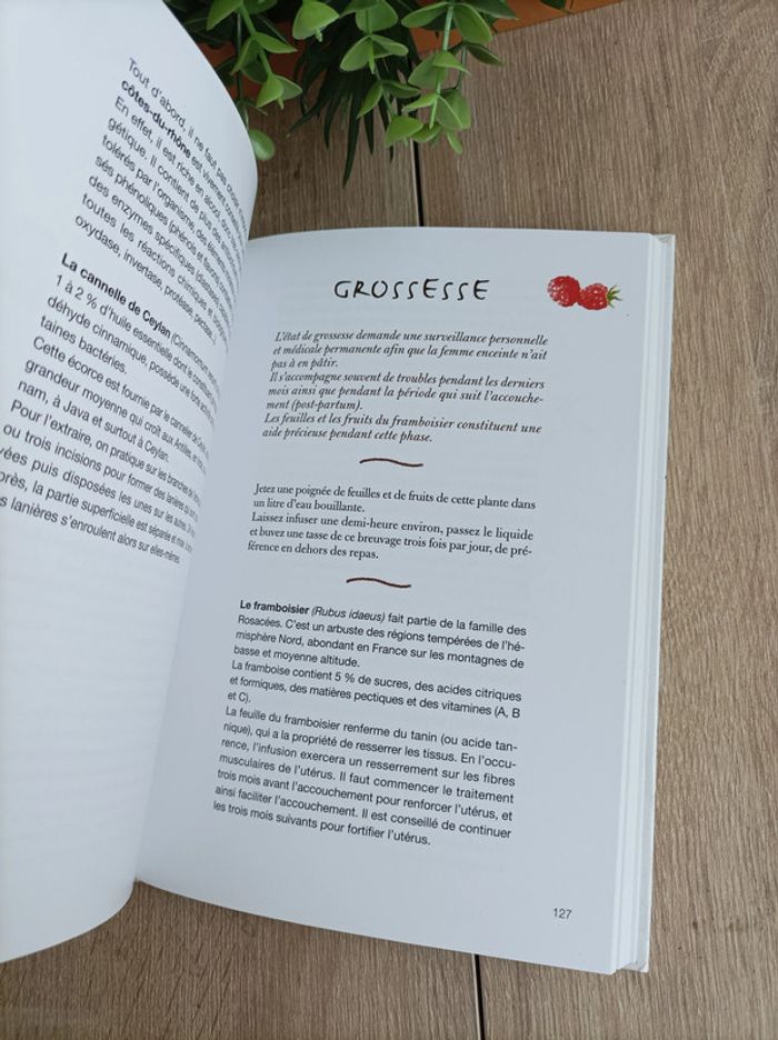 Livre mes remèdes de Grand-mère - photo numéro 2