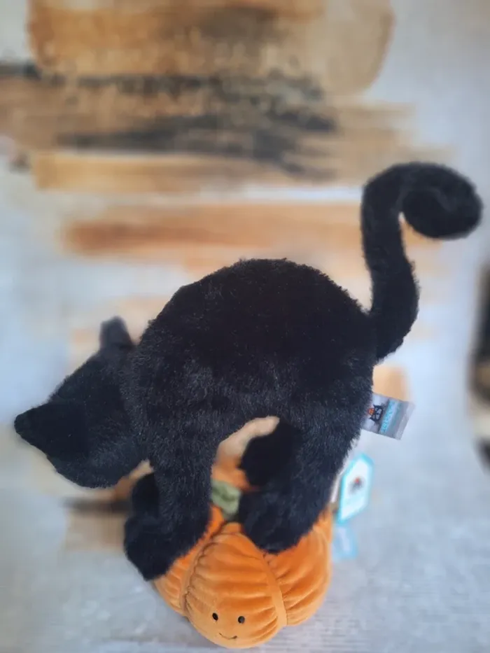 Spookipaws Cat jellycat - photo numéro 5