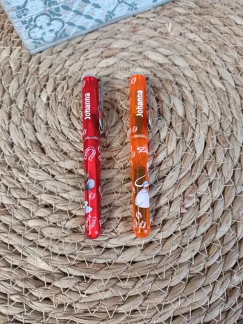 Lot stylo-plume /stylo bille johanna