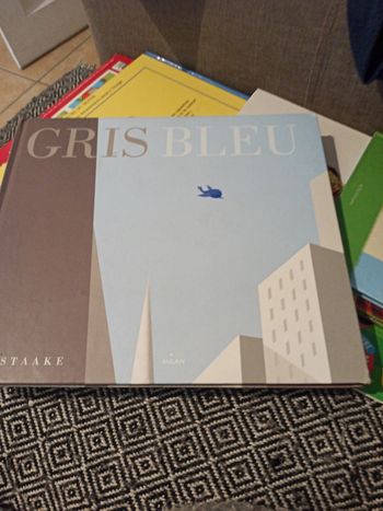 Livre gris bleu histoire jolie