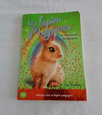 Livre les lapins magiques, des vacances magique