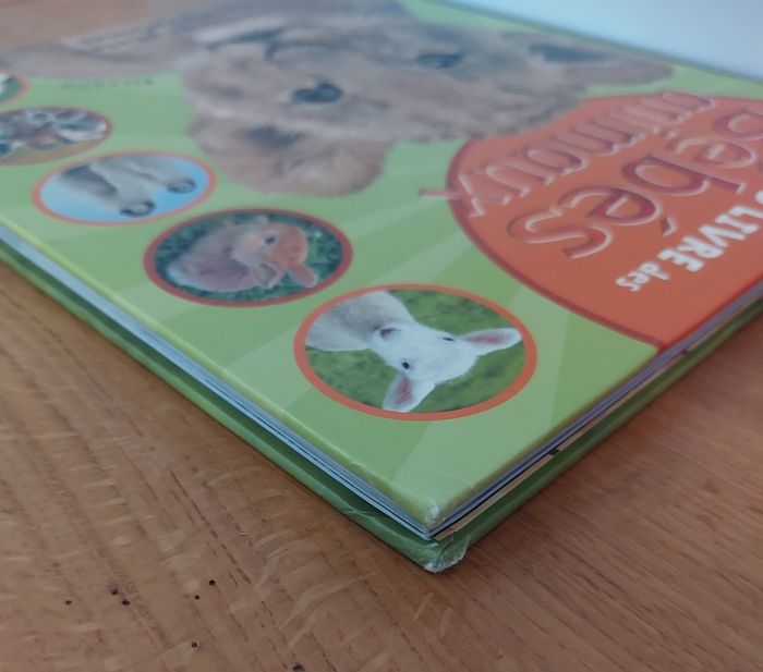 Mon grand livre des Bébés Animaux - Picolia - photo numéro 9