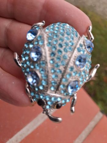Broche coccinelle bleue