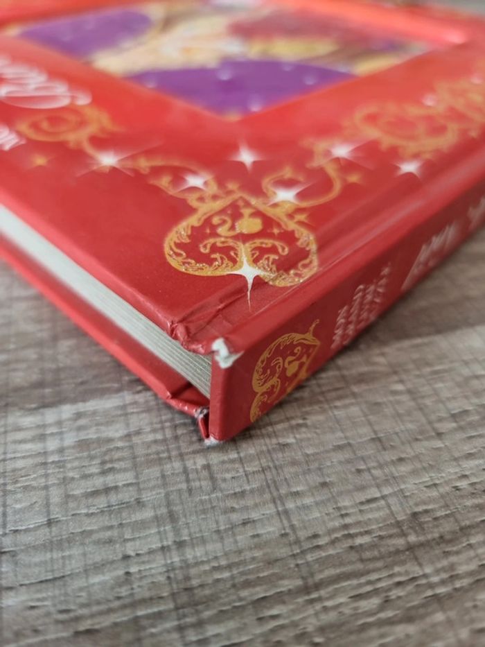 Livre puzzle Barbie et la magie de Noël - photo numéro 11