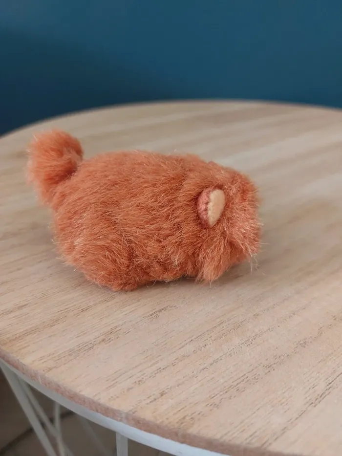 Mini bébé Chow Chow - pound Puppies - photo numéro 5