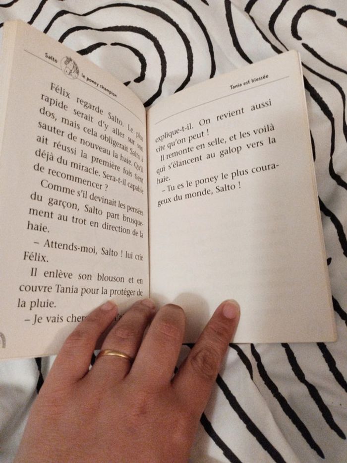 Livre Salto le poney champion - photo numéro 4