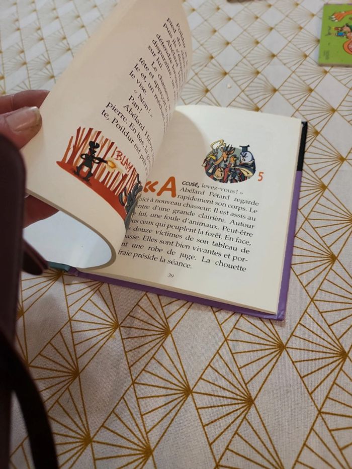 Livre - photo numéro 3