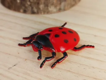Figurine Insecte coccinelle Animal de la campagne