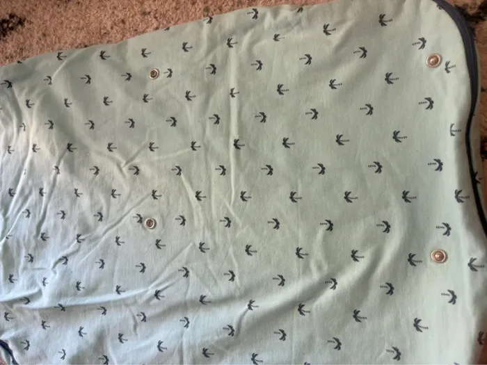 Gigoteuse palmier - photo numéro 3