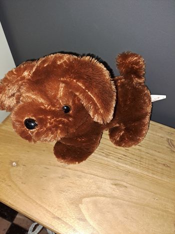 Peluche chien très très doux