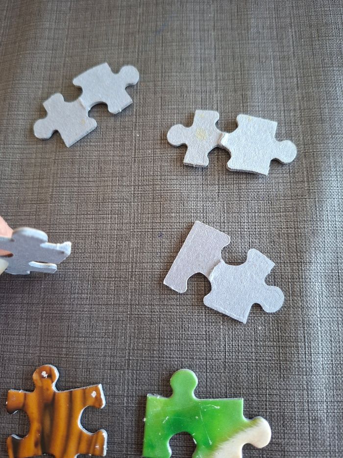 Puzzle 100 pièces - photo numéro 3