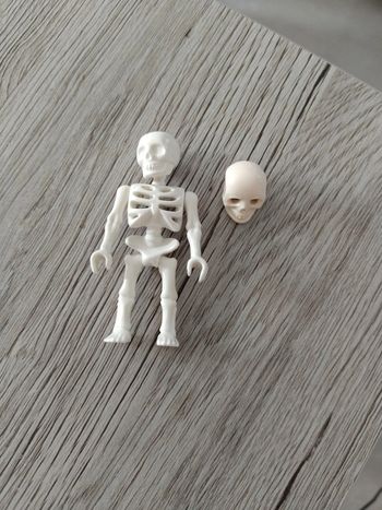 Playmobil squelette et crane
