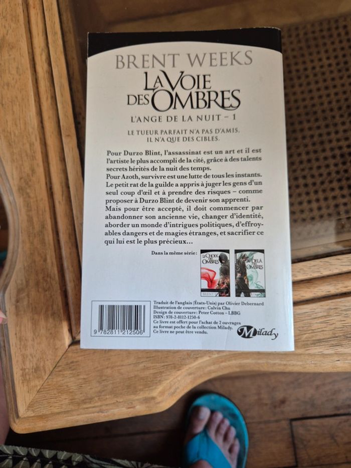 livre l'ange de la nuit de Brent Weeks - photo numéro 3