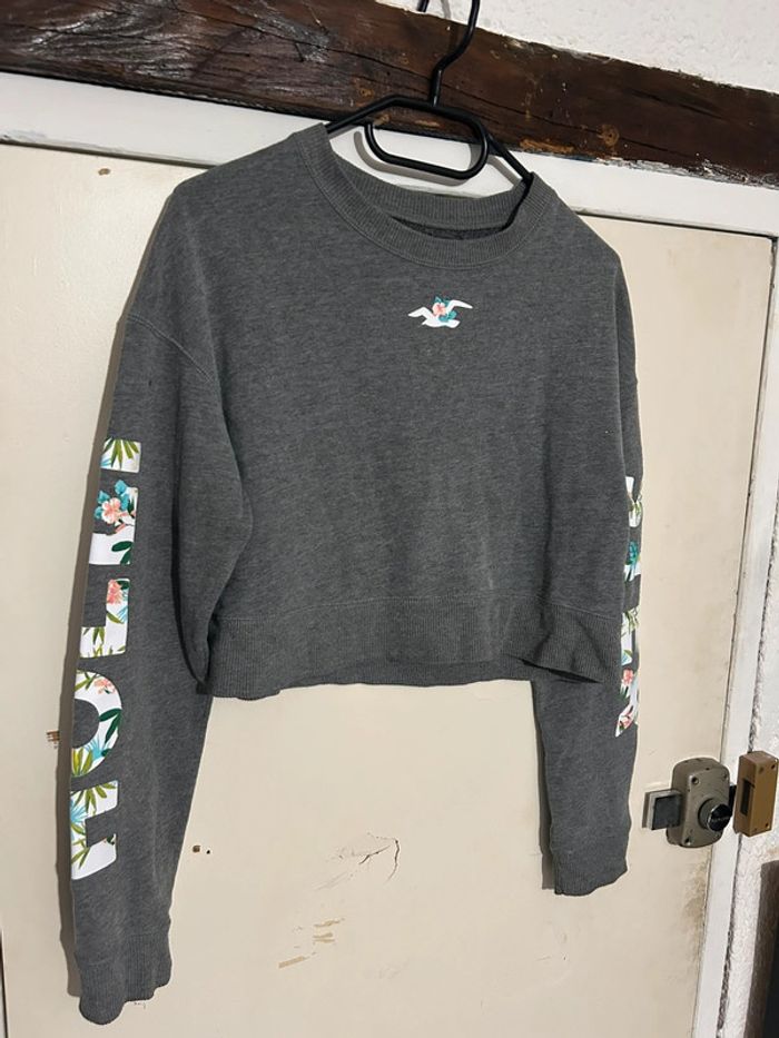 Sweat court manches longues, gris, Hollister - 34/XS