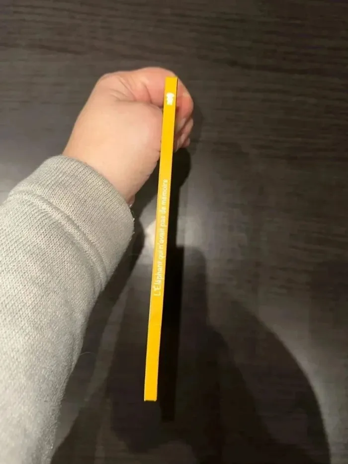 L’éléphant qui n’avait pas de mémoire livre McDo - photo numéro 4