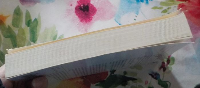 Aider l'enfant en difficulté scolaire par Jeanne Siaud-Facchin - photo numéro 5