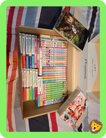 Lot de 47 mangas 2,20€ pièce