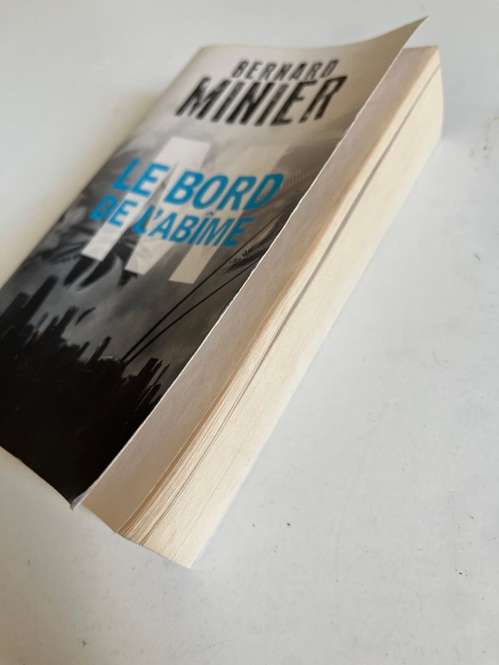 Livre le bord de l’abime - photo numéro 3
