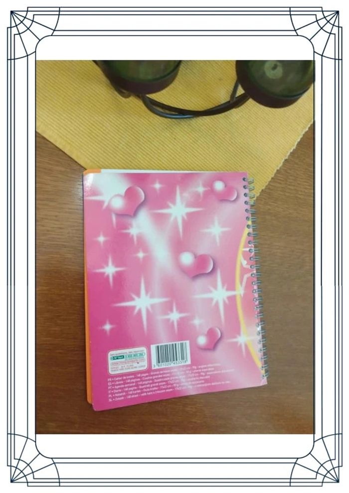 Agenda carnet école 17 x 22 cm fille fée neuf - photo numéro 11