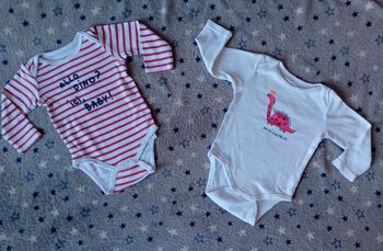 Lot de 2 bodies Gémo taille 6 mois en très bon état