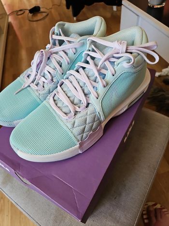 🔥Nike Lebron Witness VIII T.45🏀
