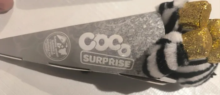 Coco surprise - photo numéro 3