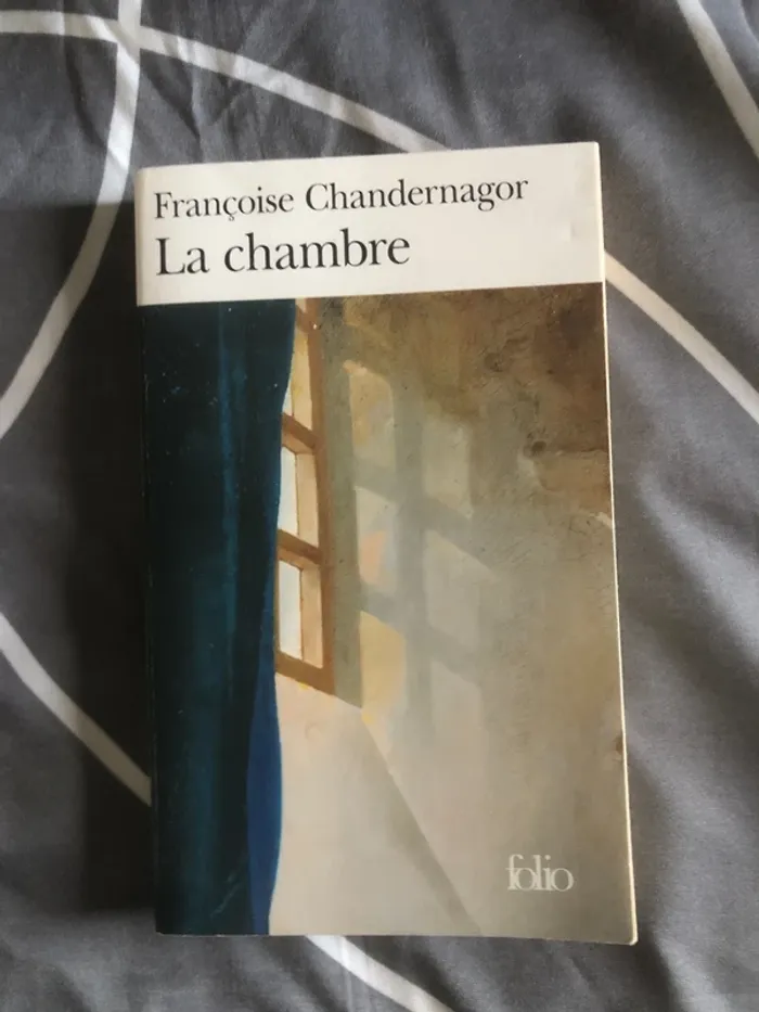 Livre la chambre 📕 - photo numéro 2