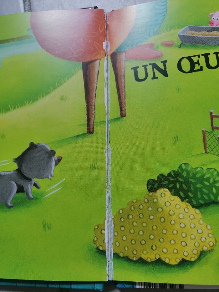 Livre un œuf disparaît - photo numéro 8
