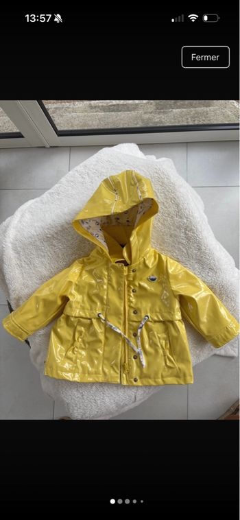 Petit cire jaune sergent major 6 mois