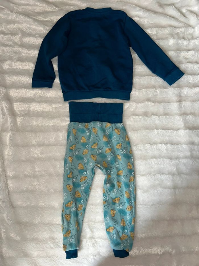 Ensemble le roi lion - photo numéro 2