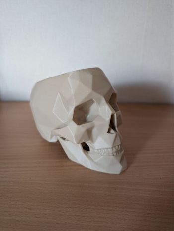 Pot crâne low poly déco skull, os