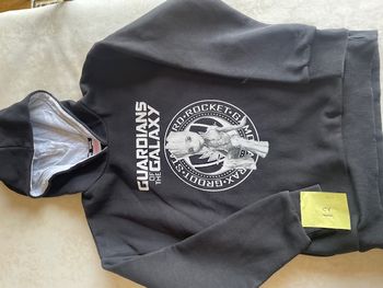 Beau Sweat à Capuche - T.12 ans