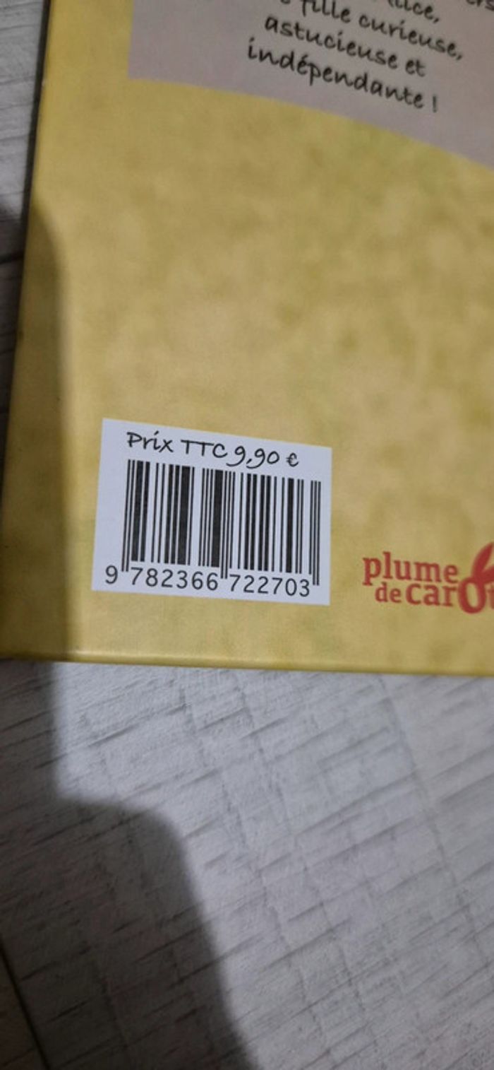 Livre enfant Alice adopte un monstre - photo numéro 4