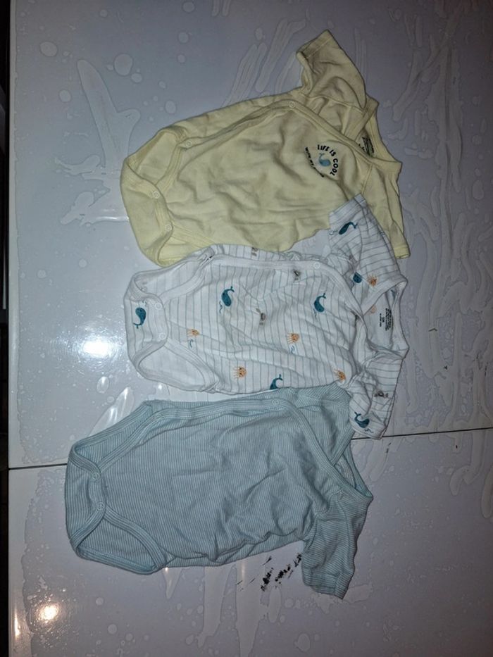 3 bodies