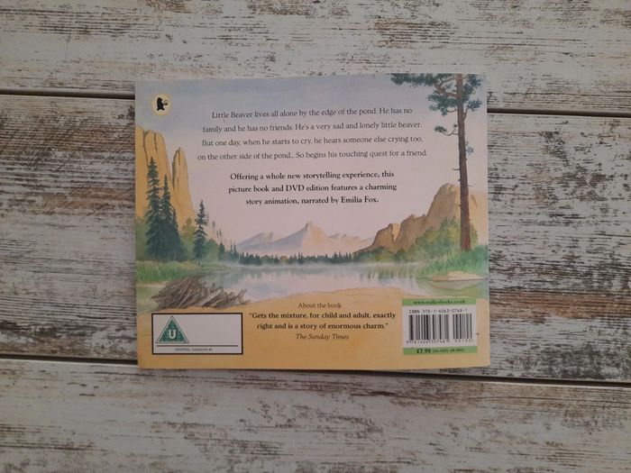 Livre cd littérature braver and thé echo - photo numéro 4