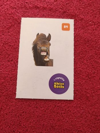 Carte nos amies les bêtes