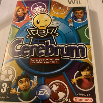 Cerebrum