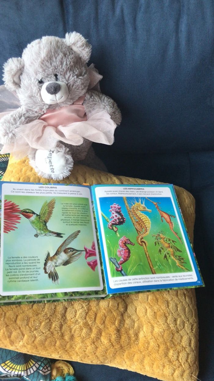 Livre l imagerie des petites bêtes - photo numéro 4